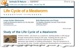 mealworm