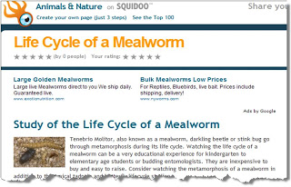 mealworm