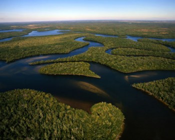 florida-everglades1