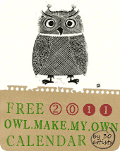 Owl Lover 2011 Calendar