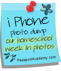 IPhone Photo Dump