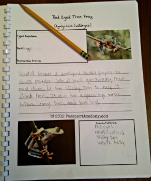 Costa Rican Notebooking page